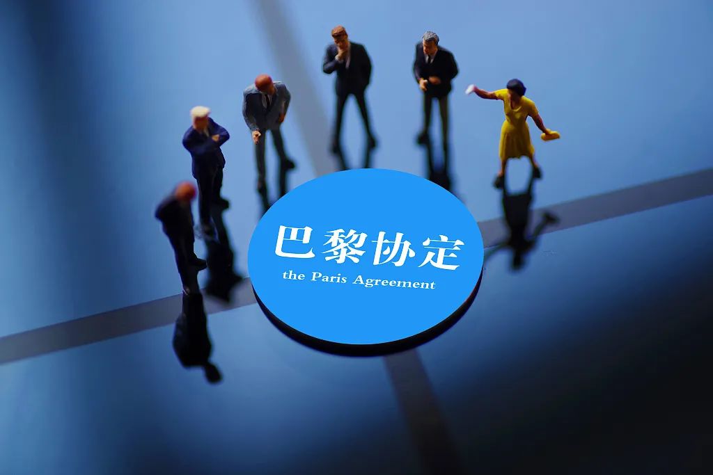 关于瓦拉多利德客场取胜，重返胜利轨道的信息
